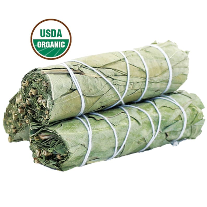 Eucalyptus Sage Smudge Stick (4 in.)