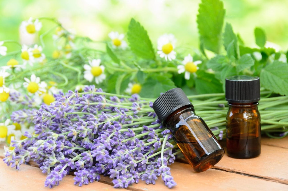 Essential Oil: Cedarwood