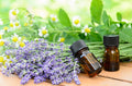 Essential Oil: Rosemary