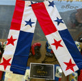 Panama Flag Arm Sleeves