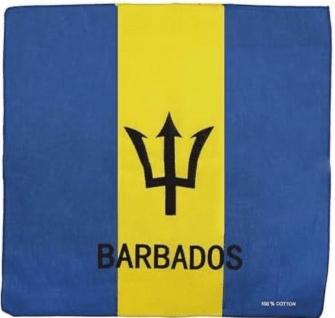 Barbados Bandana Flag