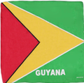 Guyana Bandana Flag