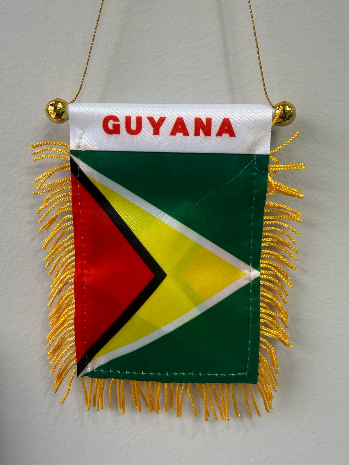 Mini Hanging Guyana Flag