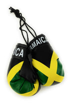 Caribbean Flag Car Boxing Gloves