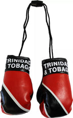 Caribbean Flag Car Boxing Gloves