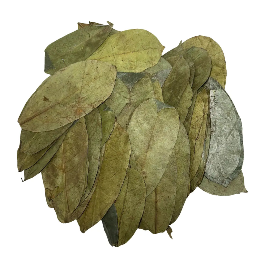 Organic Soursop Leaves