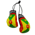 Caribbean Flag Car Boxing Gloves
